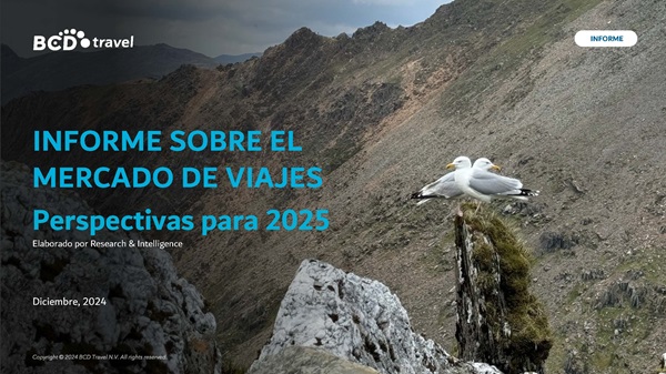 Informe mercado de viajes 2025, montaña y gaviotas.