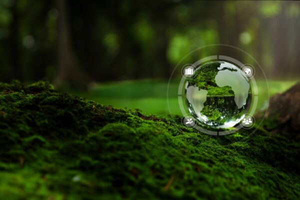 Imagen del planeta Tierra contenido en una gota de agua sobre el suelo musgoso de un bosque.