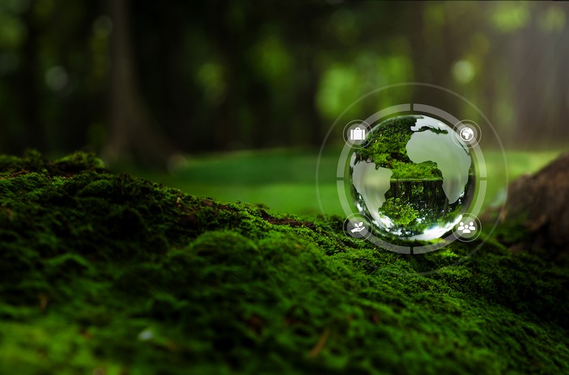 Imagen del planeta Tierra contenido en una gota de agua sobre el suelo musgoso de un bosque.