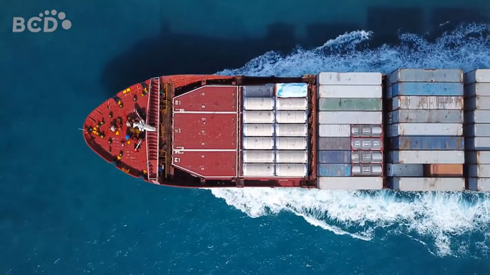 Cargo ship transporting containers at sea.