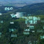 Digital analytics over aerial forest view