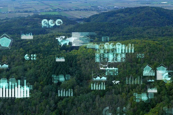 Digital analytics over aerial forest view