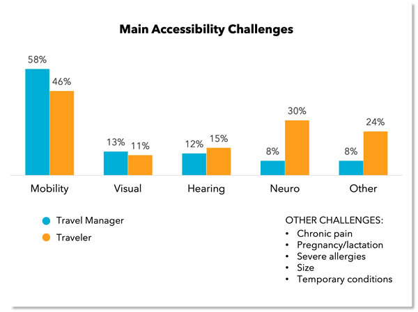 Main accessibility challenges