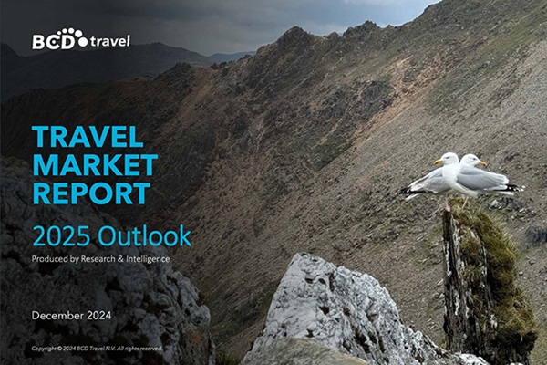 2025 Travel Market Report cover with seagulls on rocks.